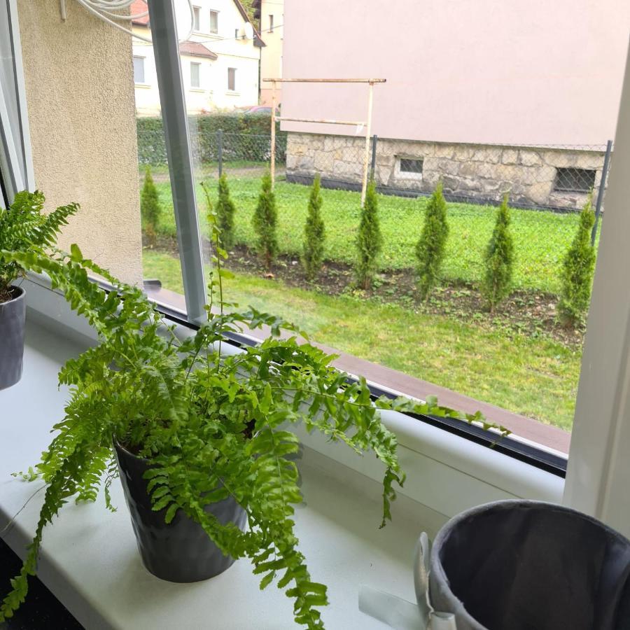 Apartament Przy Rondzie Kłodzko Exteriör bild